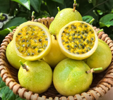 Passion Fruit Seeds – Easy to Grow, High Germination Rate