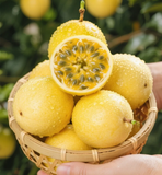 Passion Fruit Seeds – Easy to Grow, High Germination Rate