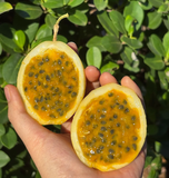 Passion Fruit Seeds – Easy to Grow, High Germination Rate