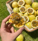 Passion Fruit Seeds – Easy to Grow, High Germination Rate