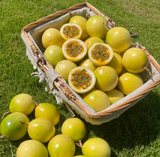 Passion Fruit Seeds – Easy to Grow, High Germination Rate