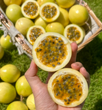 Passion Fruit Seeds – Easy to Grow, High Germination Rate
