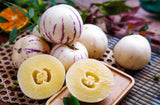 Solanum Muricatum Melon Pear Seeds